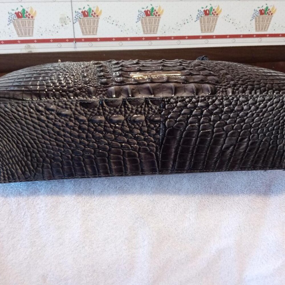 Brahman - Tabitha - Nocturnal Melbourne - Picture 5 of 6